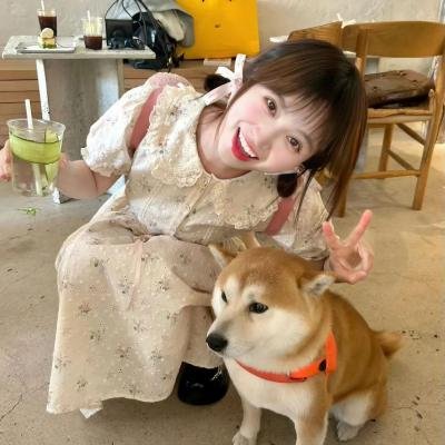 明天别再来敲门